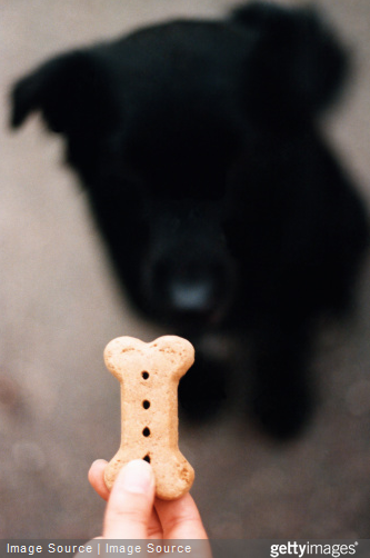 Adaptez le régime alimentaire de votre chien, si vous avez pour habitude de lui donner des friandises dans la journée.